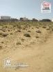 Terrain Boho à Vendre à Sidi Bouzid