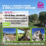 SENIA A vendre ferme a Rmila chott meriem