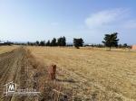 Terrain à vendre sur autoroute Menzel Bourguiba- Tunis