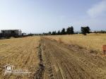 Terrain à vendre sur autoroute Menzel Bourguiba- Tunis