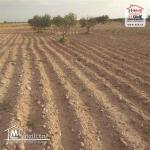 Terrain Agricole Liellauki à Vendre à Skhira