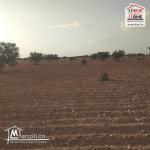 Terrain Agricole Liellauki à Vendre à Skhira