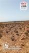 Terrain Agricole Ārce à Vendre à Sidi Aich