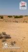 Terrain Agricole Ārce à Vendre à Sidi Aich