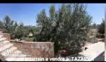 Propriété et terrain a vendre Tazarka