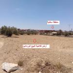 Terrain agricole Oliviers a vendre Ouerdanine -Monastir