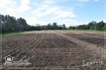 A VENDRE CHEZ NOTRE AGENCE Leaders Immobilier un beau terrain viabilisé, situé à La Sokra .