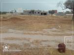 terrain constructible 500 mètre de Yasmine Hammamet
