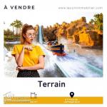 29833379  ???????? كيما العادة ديما نودوكم بالأفاريات