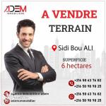 un terrain de 6 hectares