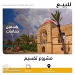 مشروع تقسيم