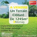 Un Terrain Clôturé de 1245m² à Mornag