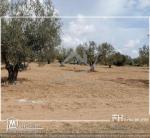 قطعة ارض 1400 م  للبيع في المنشار