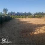 للبيع أرض في كركوان قليبية