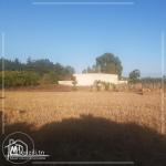 للبيع أرض في كركوان قليبية