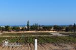 A vendre un terrain à Hammamet_Sud à 3km de la plage.