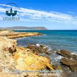 تقسيم جديد مباشرة على بحر دار علوش