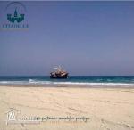 vous propose un superbe terrain à #sidi mansour #hammem_ghezez zone trés calme ????????