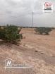 Terrain agricole Guerin A vendre a sidi aich