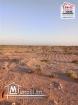 Terrain lemaitre à Vendre à sidi aich gafsa