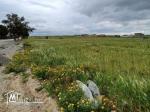 Terrain à batir Korba