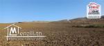 Terrain joummaira à vendre a joumine Mateur