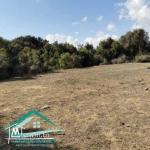 VT758Terrain agricole 7226 m² à Kelibia