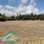 VT758Terrain agricole 7226 m² à Kelibia