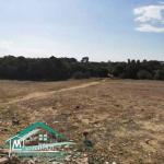 VT758Terrain agricole 7226 m² à Kelibia