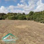 VT758Terrain agricole 7226 m² à Kelibia