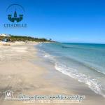 Lotissement à #vendre #ezzahra #hammem_ghezez