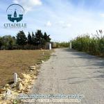 # أراضي# صالحة للبناء للبيع في تامزراط????