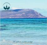 أراضي# على الطريق الرئيسي  في دار علوش قليبية