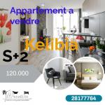 Appartement a vendre situé à "jinen mansoura "kelibia