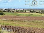 Des terrains à vendre: Chatt zouhour _Lebna