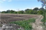 #A vendre un beau terrain à chotrana 2