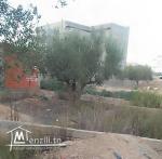 terrain 112 m à kalaa kebira