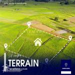 À vendre un Bon terrain situé à Kélibia