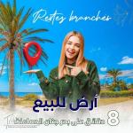 À vendre un Bon terrain situé à Hammamet 