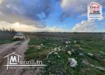 Terrain Agricole Palacios à Vendre à Sidi Hssine