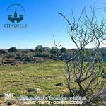 للبيع أرض في قليبية عين غرينز