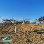 VT773Terrain agricole  5337 m² à Kelibia