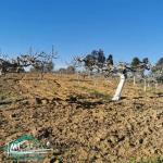 VT773Terrain agricole  5337 m² à Kelibia