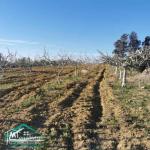 VT773Terrain agricole  5337 m² à Kelibia