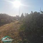 VT773Terrain agricole  5337 m² à Kelibia