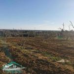 VT773Terrain agricole  5337 m² à Kelibia