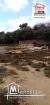 Terrain Idol A Vendre A Raoued