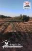 Terrain Agricole à Vendre à Kasserine