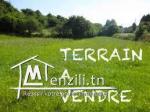 Terrain ZAINEB 2 (Réf: T1675)