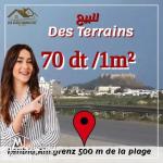 terrain a vendre  a kelibia 99679470